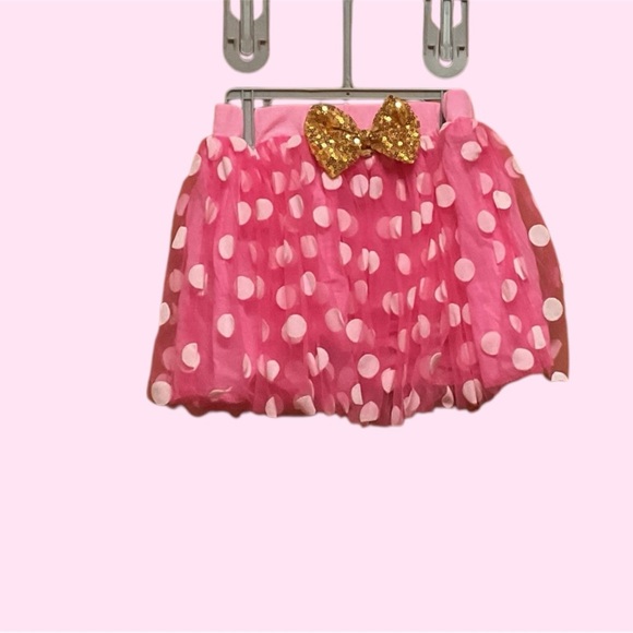 BIRTHDAY PRINCESS 2 PIECE SKIRT AND SHIRT SIZE 3-4T NEVER WORN - Picture 3 of 3